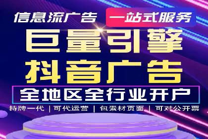 SEM广告投放策略：成功案例解析